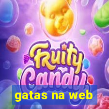 gatas na web